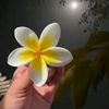 flower.lover070