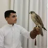 ali_al_katab