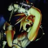 theplaystationmaster1995