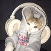 BaoMovie