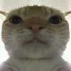 khenzzz_0