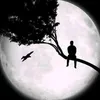 ziya.qrbani