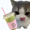 matchaagirlypopss