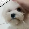 luanna.thayn1