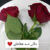 user9455781928147