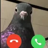 llinh_mmm