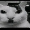 kitler0504