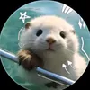 ngvocam_44