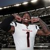 bengals_prodz1750