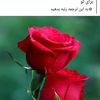 user2476002178246