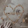 tmwcte