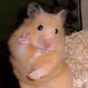 Hamster:)