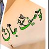 touseefmurad0