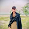 shahzeb8730