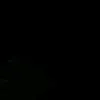 cpv_10