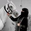 shoog_anad