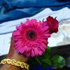 suraiya.hafejul