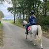 joos.kapetijn