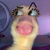 twerobloxle