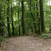 andreifloca5