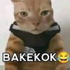 orangmana.butar.b