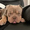ryleeb29