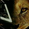 user5781320670815