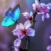 shahlaa_05