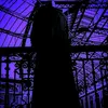 shadow.crow8