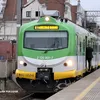 kaczore_k