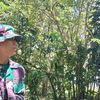 muhammadafrizal3599