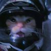 kitty.in.helmet