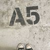 aylin.c.peinado