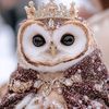 queen.owl7