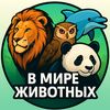 В мире животных