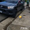evandrosepsantos