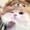 b_tran1306