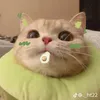 sakhapnoncalu1
