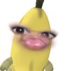 wh0s.lishzz