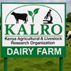 KALRO +(254)762016271.