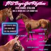jpsbarrelhorses