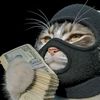 julian.com240