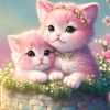 kalam.hassan4