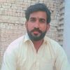 dainsh025
