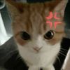 alyaa090613