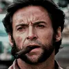 wolverine.davi.sa