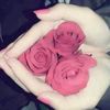 princess.us.11373