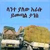 15775659tadese