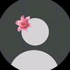 user9265581810376