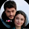 user603372700